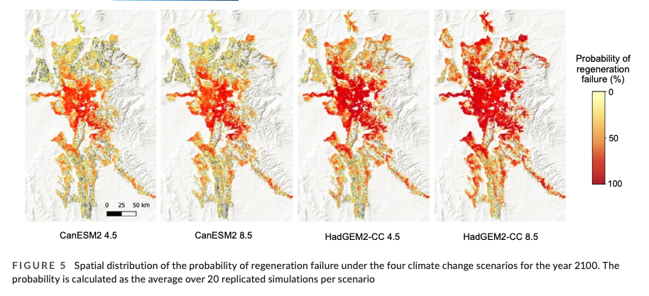 Rammer et al. (2021) Figure 5 (probability of regeneration failure)